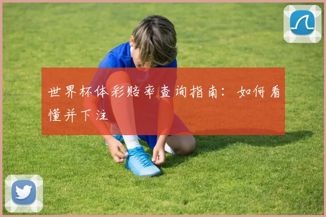 世界杯体彩赔率查询指南：如何看懂并下注